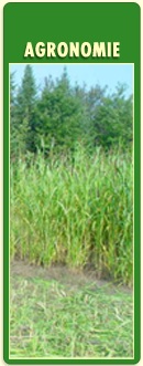 Services Agronomie