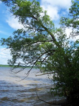 rivière Outaouais rivière Outaouais