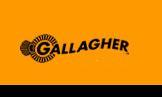 Gallagher